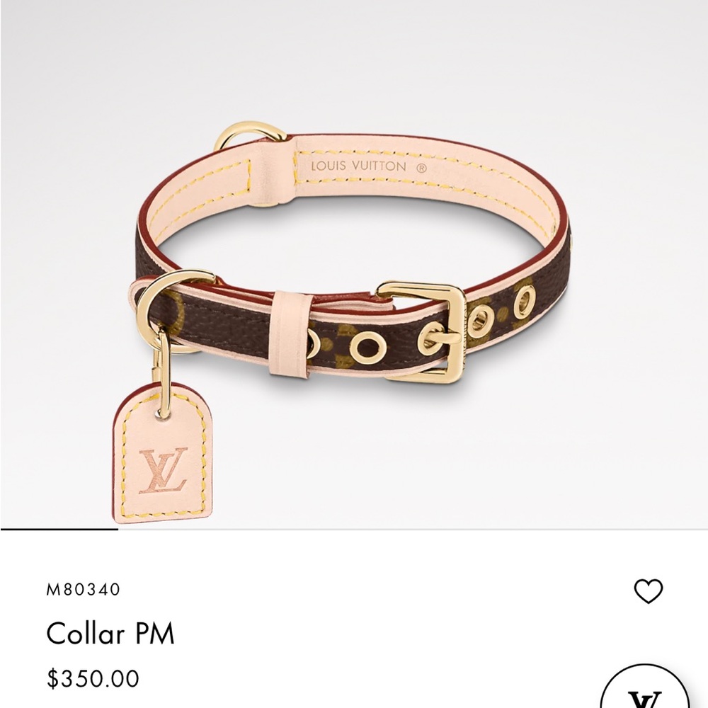 Louis Vuitton Baxter Dog Collar